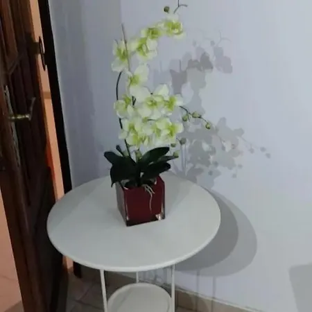 Alojamento Apartament